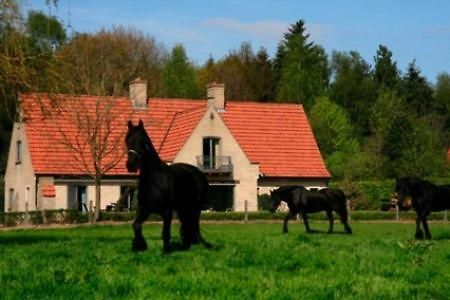 B&B Heerlijkhyd Hertsberge Exteriér fotografie